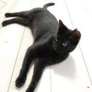 ヒメ日記 2025/04/07 09:40 投稿 みゆき 熟女の風俗最終章 西川口店