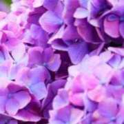 ヒメ日記 2025/06/15 17:52 投稿 みゆき 熟女の風俗最終章 西川口店