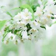 ヒメ日記 2026/04/20 10:30 投稿 みゆき 熟女の風俗最終章 西川口店