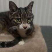 ヒメ日記 2025/02/22 22:06 投稿 森田さちえ 全裸にされた女たちor欲しがり痴漢電車