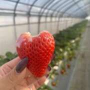 ヒメ日記 2025/02/22 06:48 投稿 ルン ファーストレディー