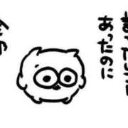 ヒメ日記 2025/04/05 12:08 投稿 めるる ワンダフル