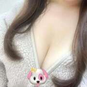 きらり 2/22います🐈‍⬛🎀 ホテピン