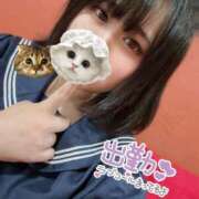 ヒメ日記 2025/05/03 07:53 投稿 しのぶ FROZEN(フローズン)