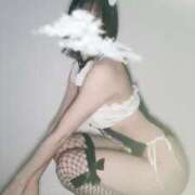 ヒメ日記 2025/03/24 08:25 投稿 せいら オペラ(吉原)