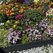 ヒメ日記 2025/05/04 13:47 投稿 ふうり 即ヤリの極み新橋