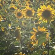 ヒメ日記 2025/09/21 22:58 投稿 みらい イエスグループ熊本 TSUBAKI(ツバキ)