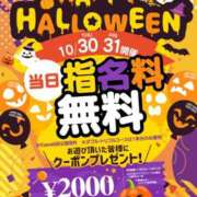 ヒメ日記 2025/10/30 09:15 投稿 みらい イエスグループ熊本 TSUBAKI(ツバキ)