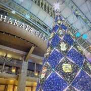 ヒメ日記 2025/12/23 13:22 投稿 みらい イエスグループ熊本 TSUBAKI(ツバキ)