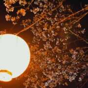 みらい ありがとう‪‪❤︎‬ イエスグループ熊本 TSUBAKI(ツバキ)