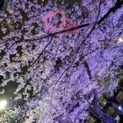 ヒメ日記 2025/04/06 22:16 投稿 すみれ おいらん遊郭