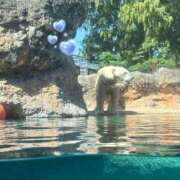 ヒメ日記 2025/09/26 23:55 投稿 すみれ おいらん遊郭