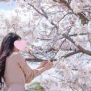 ヒメ日記 2025/04/03 11:22 投稿 太鳳～たお～ ドMバスターズ 京都店