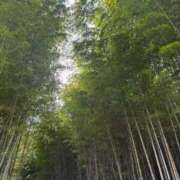 ヒメ日記 2025/06/04 14:42 投稿 太鳳～たお～ ドMバスターズ 京都店