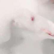 ヒメ日記 2025/09/10 07:06 投稿 太鳳～たお～ ドMバスターズ 京都店