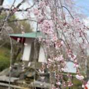 ヒメ日記 2025/09/27 08:20 投稿 太鳳～たお～ ドMバスターズ 京都店