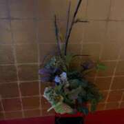 ヒメ日記 2025/11/28 00:04 投稿 太鳳～たお～ ドMバスターズ 京都店