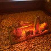 ヒメ日記 2026/02/18 09:38 投稿 太鳳～たお～ ドMバスターズ 京都店