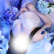 ヒメ日記 2025/11/27 11:07 投稿 りせ ハッピーブリッジ