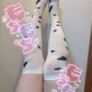 ヒメ日記 2025/02/17 20:44 投稿 あおい 川越ぽちゃまに