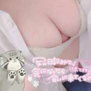 ヒメ日記 2025/02/20 17:04 投稿 あおい 川越ぽちゃまに