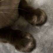 ヒメ日記 2025/03/08 19:02 投稿 あおい 川越ぽちゃまに