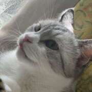 ヒメ日記 2025/09/16 14:52 投稿 あおい 川越ぽちゃまに