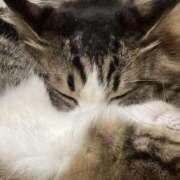 ヒメ日記 2025/11/19 16:12 投稿 あおい 川越ぽちゃまに