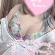 ヒメ日記 2026/10/14 10:22 投稿 あおい 川越ぽちゃまに