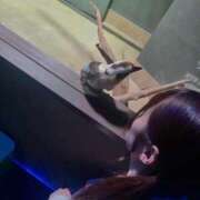 ヒメ日記 2025/03/17 18:12 投稿 宇佐美ゆゆ LUXE(リュクス)