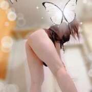 ヒメ日記 2025/05/23 17:16 投稿 柚原　志那 プルプル人妻専門店