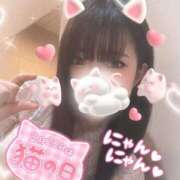 ヒメ日記 2025/02/22 22:31 投稿 アオイ ラブコレクション