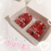 ヒメ日記 2025/04/04 19:16 投稿 アオイ ラブコレクション