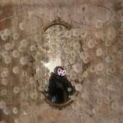 ヒメ日記 2025/12/07 12:16 投稿 アオイ ラブコレクション