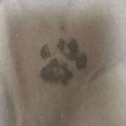 ヒメ日記 2026/01/06 12:16 投稿 アオイ ラブコレクション