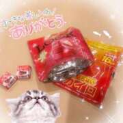 ヒメ日記 2026/01/09 14:46 投稿 アオイ ラブコレクション