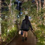 ヒメ日記 2026/03/12 06:01 投稿 アオイ ラブコレクション