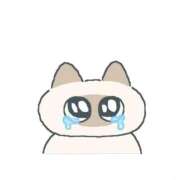 ヒメ日記 2026/04/03 23:16 投稿 アオイ ラブコレクション