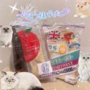 ヒメ日記 2026/04/05 18:46 投稿 アオイ ラブコレクション