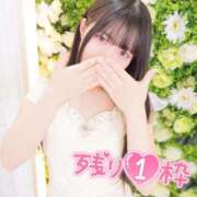 ヒメ日記 2026/05/14 13:46 投稿 アオイ ラブコレクション