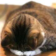 ヒメ日記 2025/12/01 12:03 投稿 アス SCREEN(スクリーン)