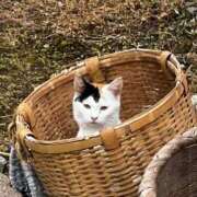 ヒメ日記 2025/02/22 00:37 投稿 たまな 日本橋・谷九サンキュー