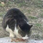 ヒメ日記 2025/03/23 01:27 投稿 たまな 日本橋・谷九サンキュー