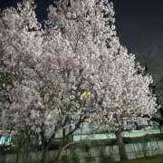 ヒメ日記 2025/03/26 18:37 投稿 たまな 日本橋・谷九サンキュー