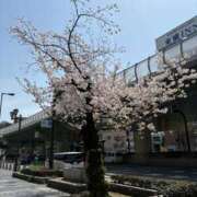 ヒメ日記 2025/04/08 13:07 投稿 たまな 日本橋・谷九サンキュー