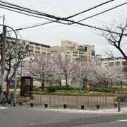 ヒメ日記 2025/04/11 19:17 投稿 たまな 日本橋・谷九サンキュー