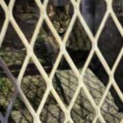 ヒメ日記 2025/04/26 04:20 投稿 たまな 日本橋・谷九サンキュー