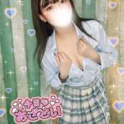 ヒメ日記 2025/04/21 21:08 投稿 つばさ アロー