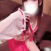 ヒメ日記 2025/03/29 18:46 投稿 さくら 東京妻next (京都グループ)