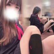 ヒメ日記 2025/04/04 11:46 投稿 さくら 東京妻next (京都グループ)